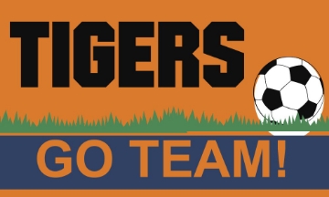 Picture of Sports Flags 879515404