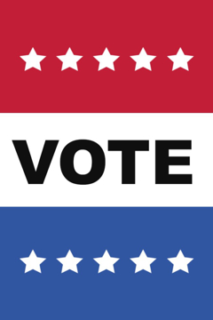 Picture of Vote 32807260
