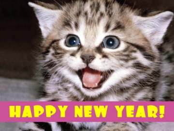 Picture of New Year 6298820