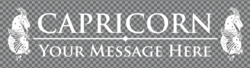 Picture of Zodiac Clear Decals 11965898