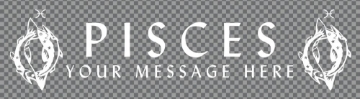 Picture of Zodiac Clear Decals 11965927