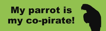 Picture of Pirate 13874368