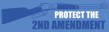 Picture of Gun Rights 13044229