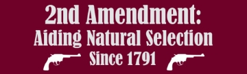 Picture of Gun Rights 13045740