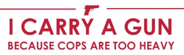 Picture of Gun Rights 33208750