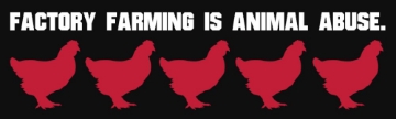 Picture of Animal Rights 17237263