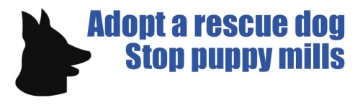 Picture of Animal Rights 17237681
