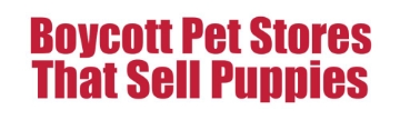 Picture of Animal Rights 17237868