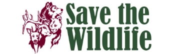 Picture of Animal Rights 17239331