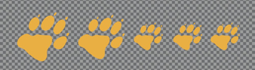 Picture of Family Clear Decals 11699146