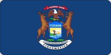 Picture of State Flags 17196560