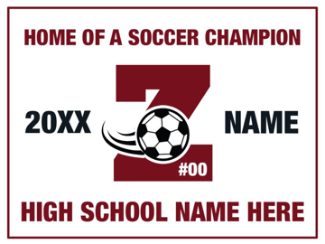 Picture of Soccer 8