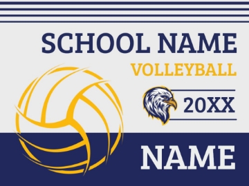 Picture of Volleyball 3