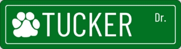 Picture of Name 1