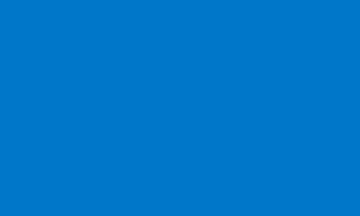Picture of Azure Blue Flag