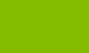 Picture of Light Green Flag