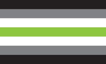 Picture of Agender Pride Flag