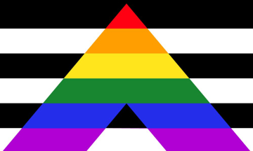 Picture of Straight Ally Pride Flag