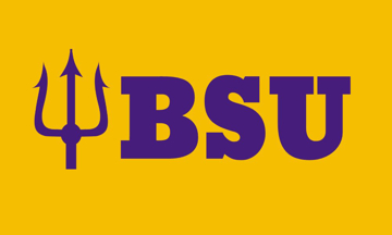 Picture of School Flag 7