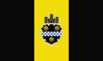 Picture of Pittsburgh, PA Flag
