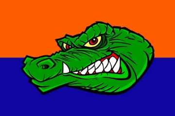 Picture of Sports Flag 2 - 2x3