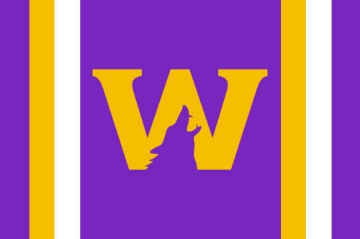 Picture of Sports Flag 5 - 4x6