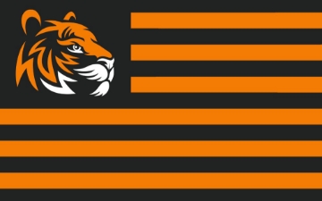 Picture of Sports Flag 4- 5x8