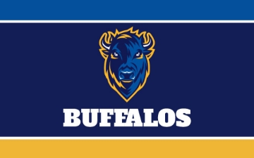 Picture of Sports Flag 8- 5x8