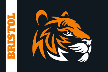 Picture of School Flag 6- 2x3
