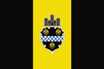 Picture of Pittsburgh, PA Flag- 4x6