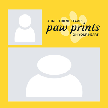 Picture of Metal Prints Pets 8 - 8x8