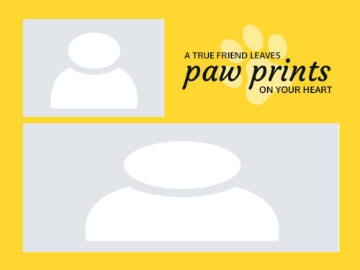 Picture of Acrylic Print Pets 8 - 30x40