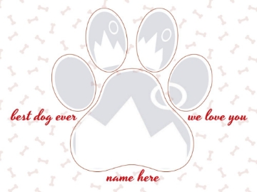 Picture of Acrylic Print Pets 3 - 30x40
