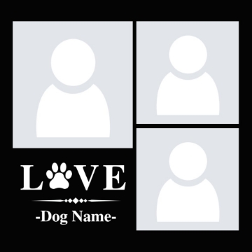 Picture of Acrylic Print Pets 4 - 16x16