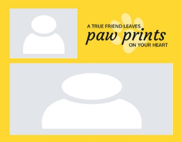 Picture of Acrylic Print Pets 8 - 11x14