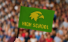 Picture of 4" x 6" Stick Flag PFF