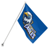 Picture of 3ft x 5ft Standard Flag PFF